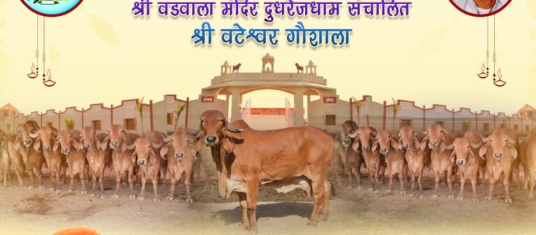 WhatsApp Image 2025-08-25 at 10.43.03 AM